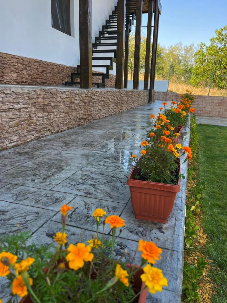 Villa Medi Boutique Sapareva Banya Exterior foto